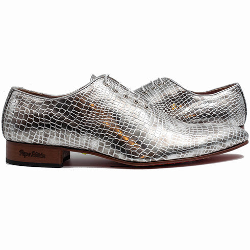 Zilveren schoenen